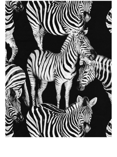 Shop Dolce & Gabbana Zebra-print Wallpaper In Black