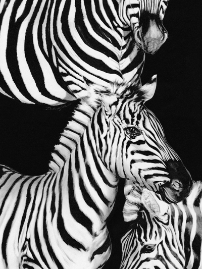 Dolce & Gabbana Zebra-print Wallpaper In Black