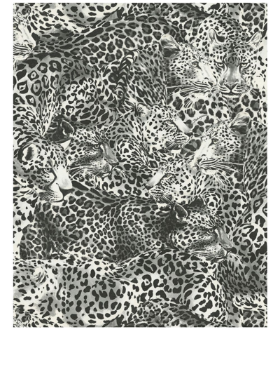 Shop Dolce & Gabbana Leopard-print Wallpaper In Black