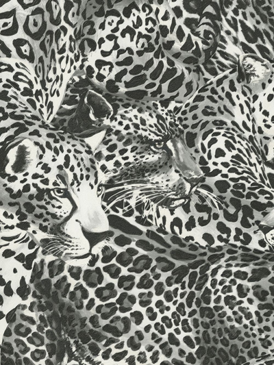 Shop Dolce & Gabbana Leopard-print Wallpaper In Black