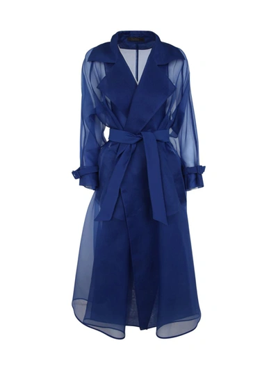 Shop Max Mara Raucous Organdy Coat Clothing In Blue