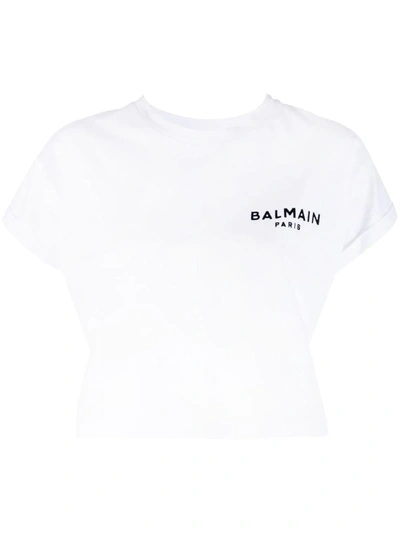 Shop Balmain Flock Detail Cropped T-shirt Clothing In White