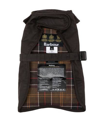 Barbour Corduroy-collar Dog Raincoat In Green