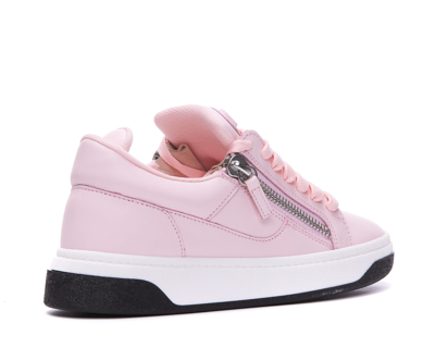 Shop Giuseppe Zanotti Gz94 Sneakers In Pink