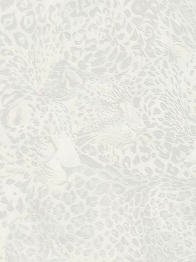 Shop Dolce & Gabbana Leopard-print Wallpaper In White