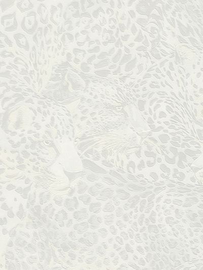 Dolce & Gabbana Leopard-print Wallpaper In White