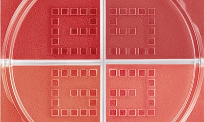 Givenchy Prisme Libre Loose Powder Blush In N06 Flanelle Rubis