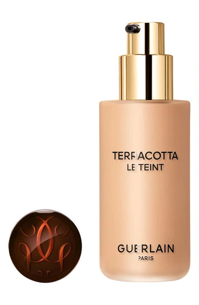 Shop Guerlain Terracotta Le Teint Healthy Glow Foundation In 3.5w Warm