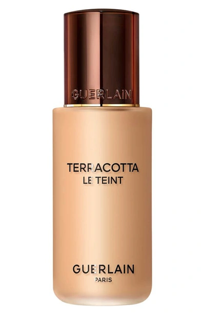 Shop Guerlain Terracotta Le Teint Healthy Glow Foundation In 4w Warm