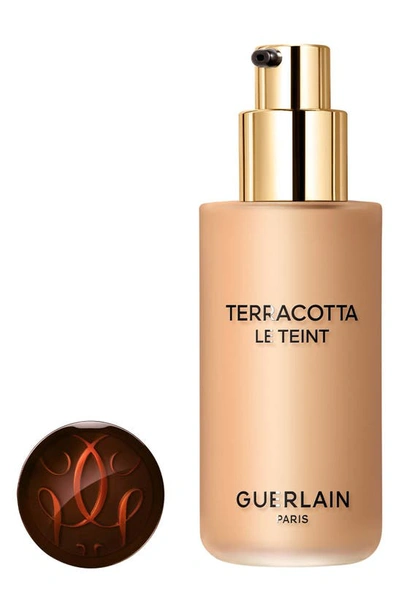 Shop Guerlain Terracotta Le Teint Healthy Glow Foundation In 4w Warm
