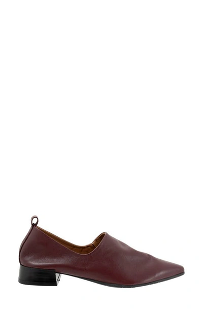 Shop Bueno Marley Pointed Toe Loafer In Merlot