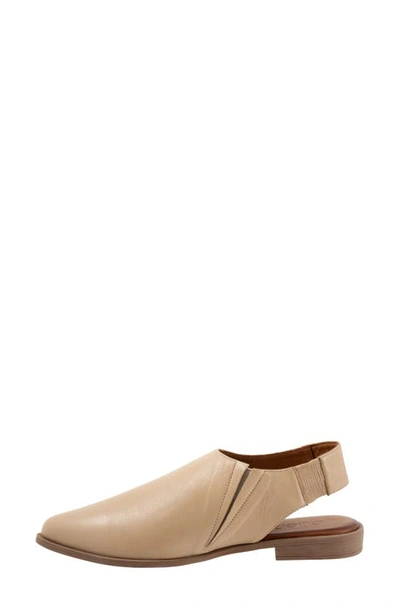 Shop Bueno Brianna Pointed Toe Slingback Flat In Taupe