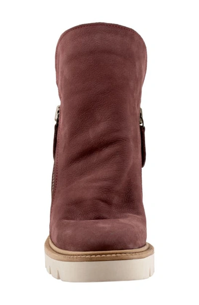 Bueno Elliott Block Heel Bootie In Dark Wine Nubuck