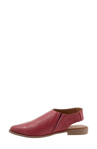 Shop Bueno Brianna Pointed Toe Slingback Flat In Plum