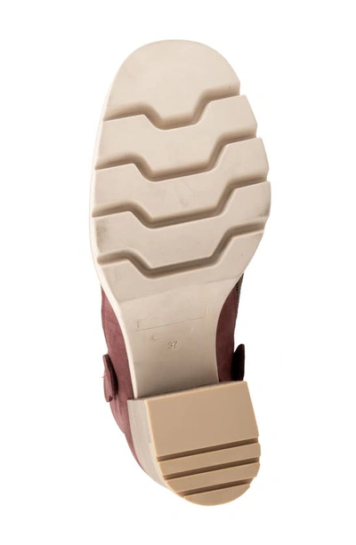 Bueno Elliott Block Heel Bootie In Dark Wine Nubuck
