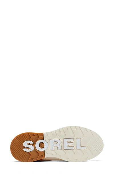 Shop Sorel Out N About Waterproof Low Top Sneaker In Ceramic/ Optimized Orange