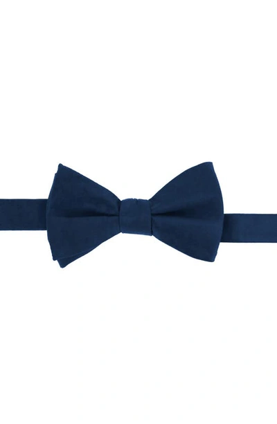 Trafalgar Sutton Pre Tied Bow Tie In Navy