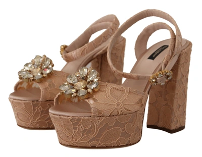 Shop Dolce & Gabbana Lace Taormina Platform Sandals Women's Shoes In Pink