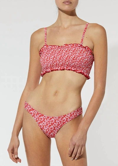 Shop Solid & Striped Indigo Bottom In Red Floral In Pink