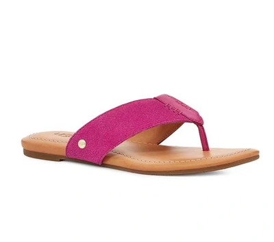 Shop Ugg Carey Flip Sandals In Dragon Fruit In Pink