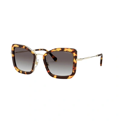 Shop Miu Miu Womens Butterfly Sunglasses In Brown