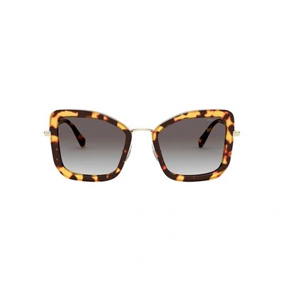 Shop Miu Miu Womens Butterfly Sunglasses In Brown