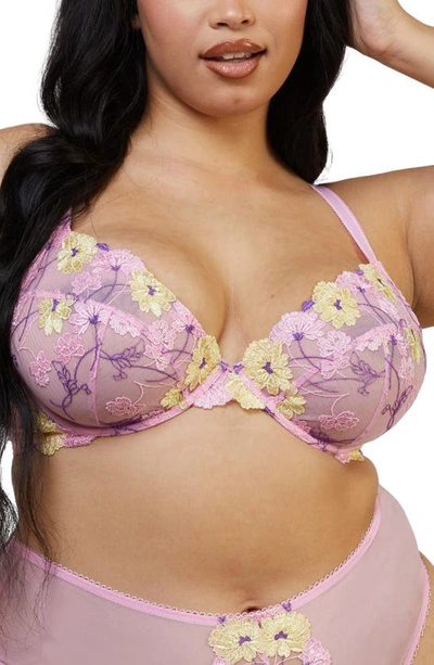 Shop Playful Promises Luna Pastel Embroidered Underwire Bra In Pink Multi