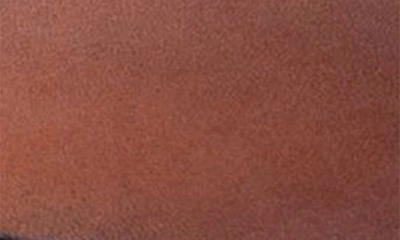 Allen Edmonds Sebastian Bit Driving Loafer In Chili