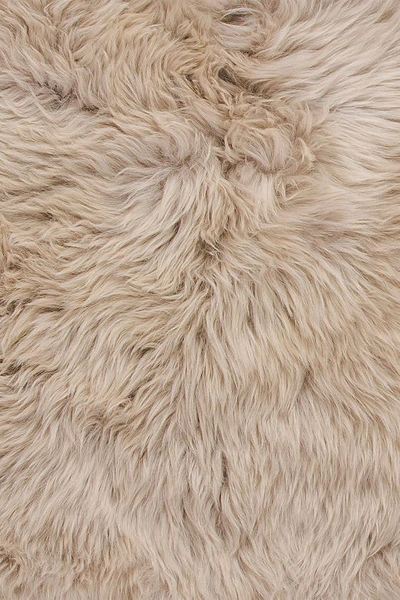 Shop Natural New Zealand Rectangular Sheepskin Throw In Taupe