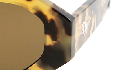 Aqs Mia 55mm Polarized Oval Sunglasses In Brown