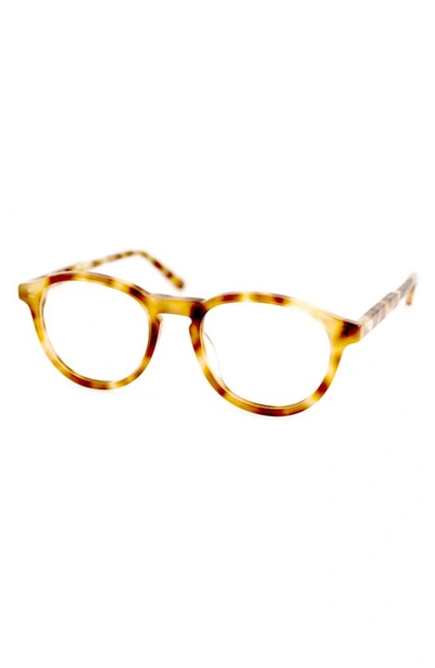 Aqs Albie 50mm Round Optical Frames In Brown