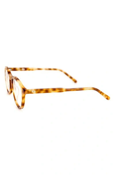 Shop Aqs Albie 50mm Round Optical Frames In Brown