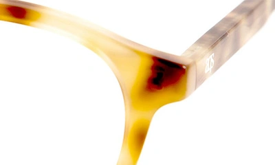 Aqs Albie 50mm Round Optical Frames In Brown