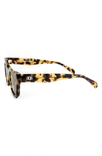 Shop Aqs Harper 55mm Polarized Square Sunglasses In Brown