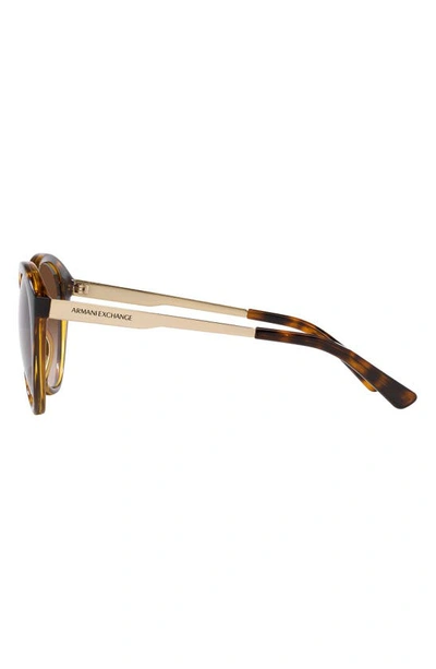 Shop Armani Exchange 55mm Gradient Cat Eye Sunglasses In Shiny Hava