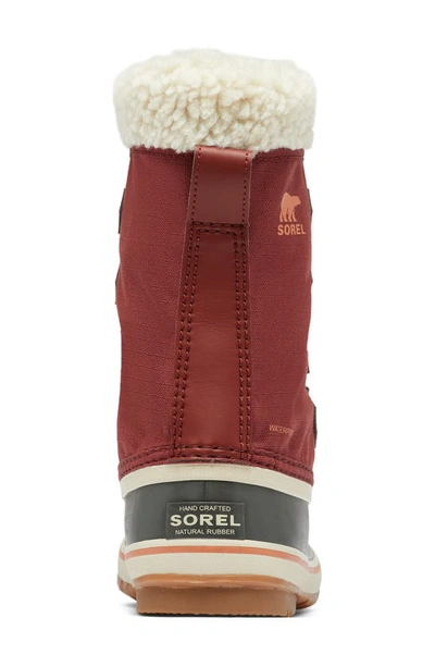 Shop Sorel Winter Carnival Waterproof Boot In Spice/ Gum