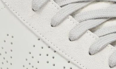 P448 Thea Platform Sneaker In Coyote