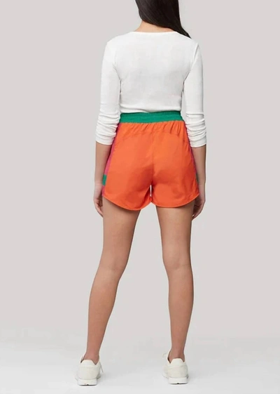 Shop Soia & Kyo Noa Shorts In Multi-mandarin In Orange