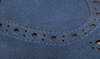 Stacy Adams Marligan Wingtip Derby In Navy Suede