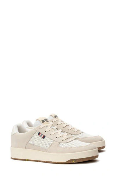 Seavees Cardinal Perforated Sneaker In White