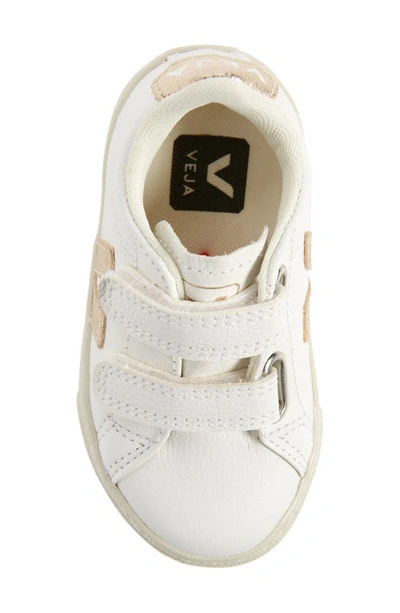 Shop Veja Chromefree™ Sneaker In Extra-white Platine