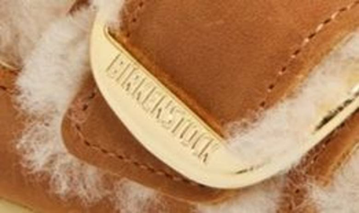 Shop Birkenstock Arizona Big Buckle Genuine Shearling Lined Sandal In Cognac Sandcastle