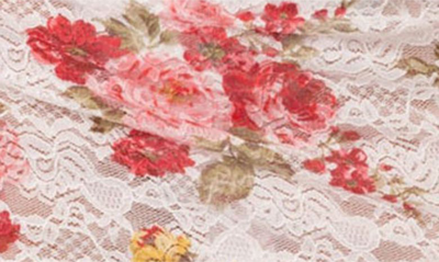 Edikted Portofino Floral Sheer Lace Crop Camisole In White Multi