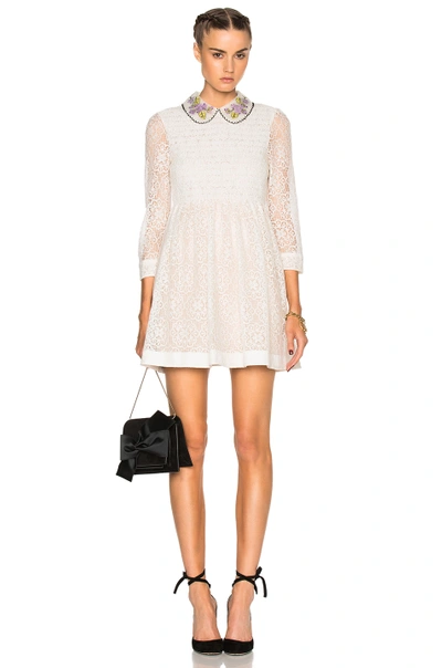 Shop Red Valentino Collared Lace Mini Dress In Ivory