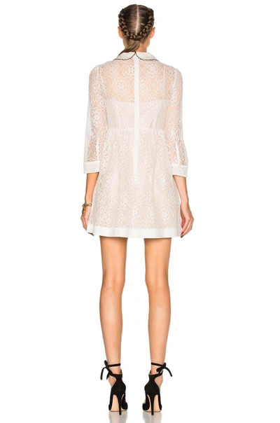 Shop Red Valentino Collared Lace Mini Dress In Ivory