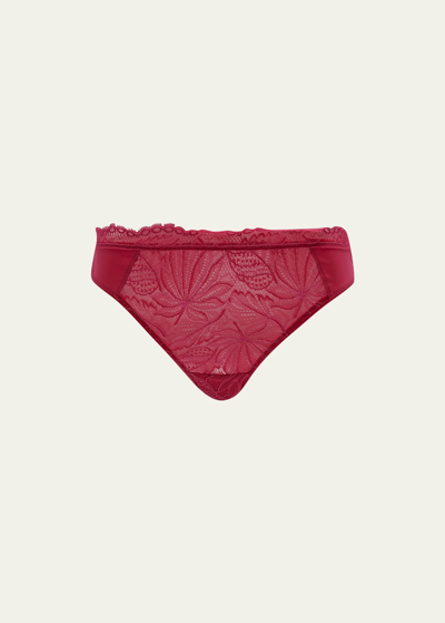 Shop Simone Perele Exotica Lace Bikini Briefs In Raspberry
