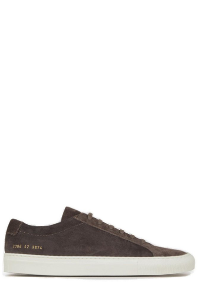 Shop Common Projects Achilles Low In Brown