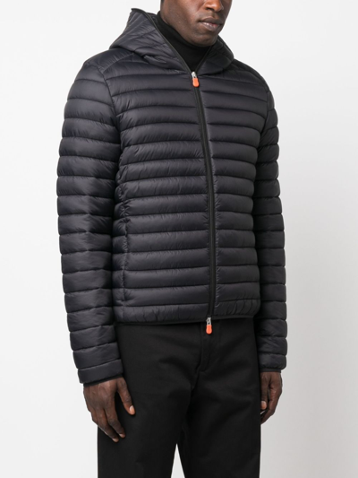 Shop Save The Duck Concealed Hood Padded Jacket In Black