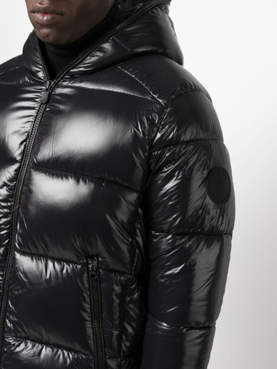 Shop Save The Duck Glossy-finish Padded Jacket In Black