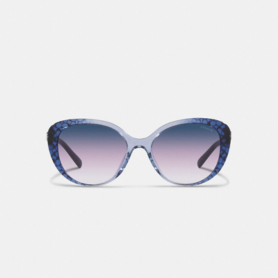 Shop Coach Horse And Carriage Round Sunglasses In Blue Signature C Gradient